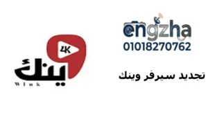 وكيل سيرفر وينك