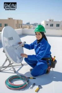 تردد قنوات هوت بيرد المفتوحة